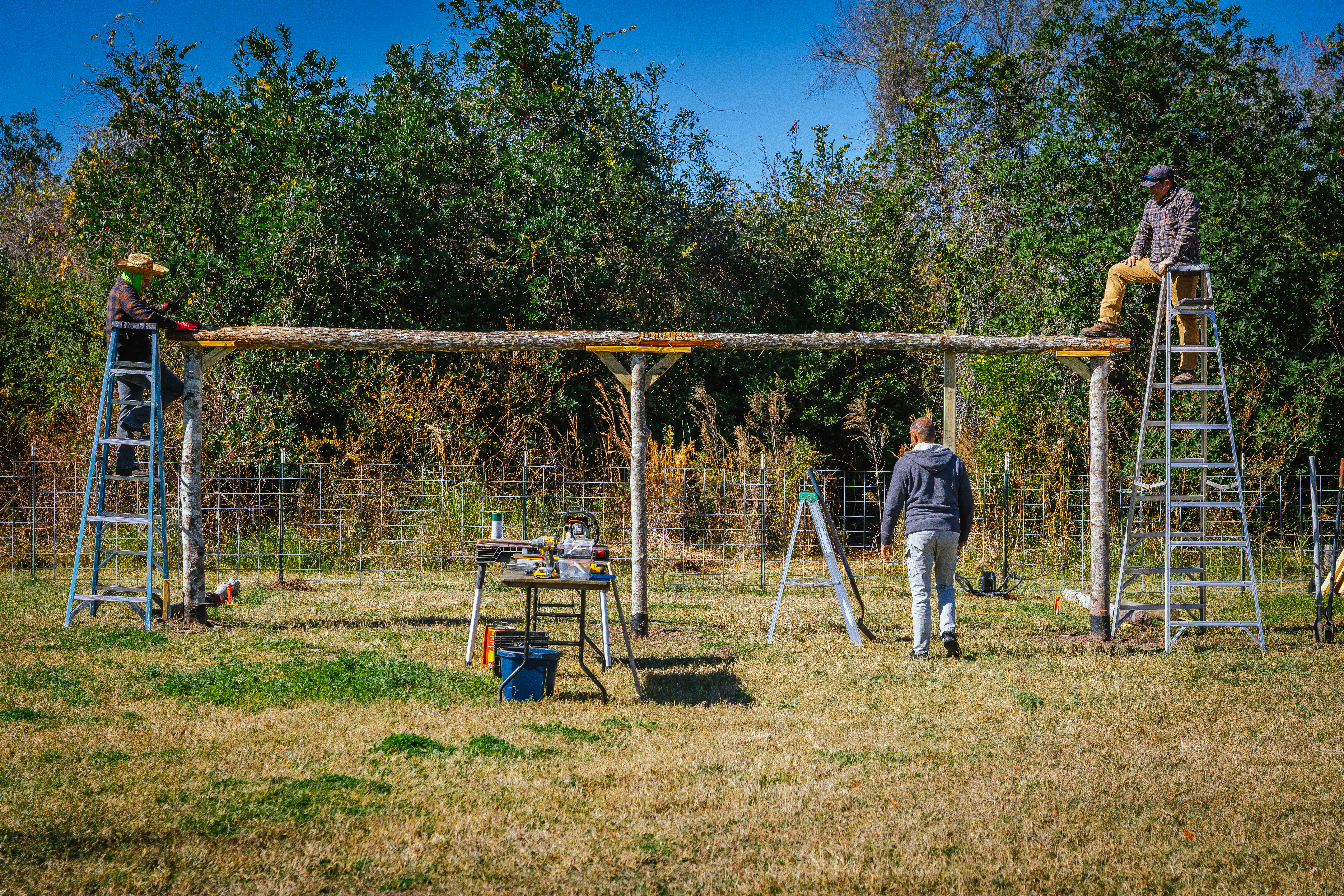 Community Service Activities