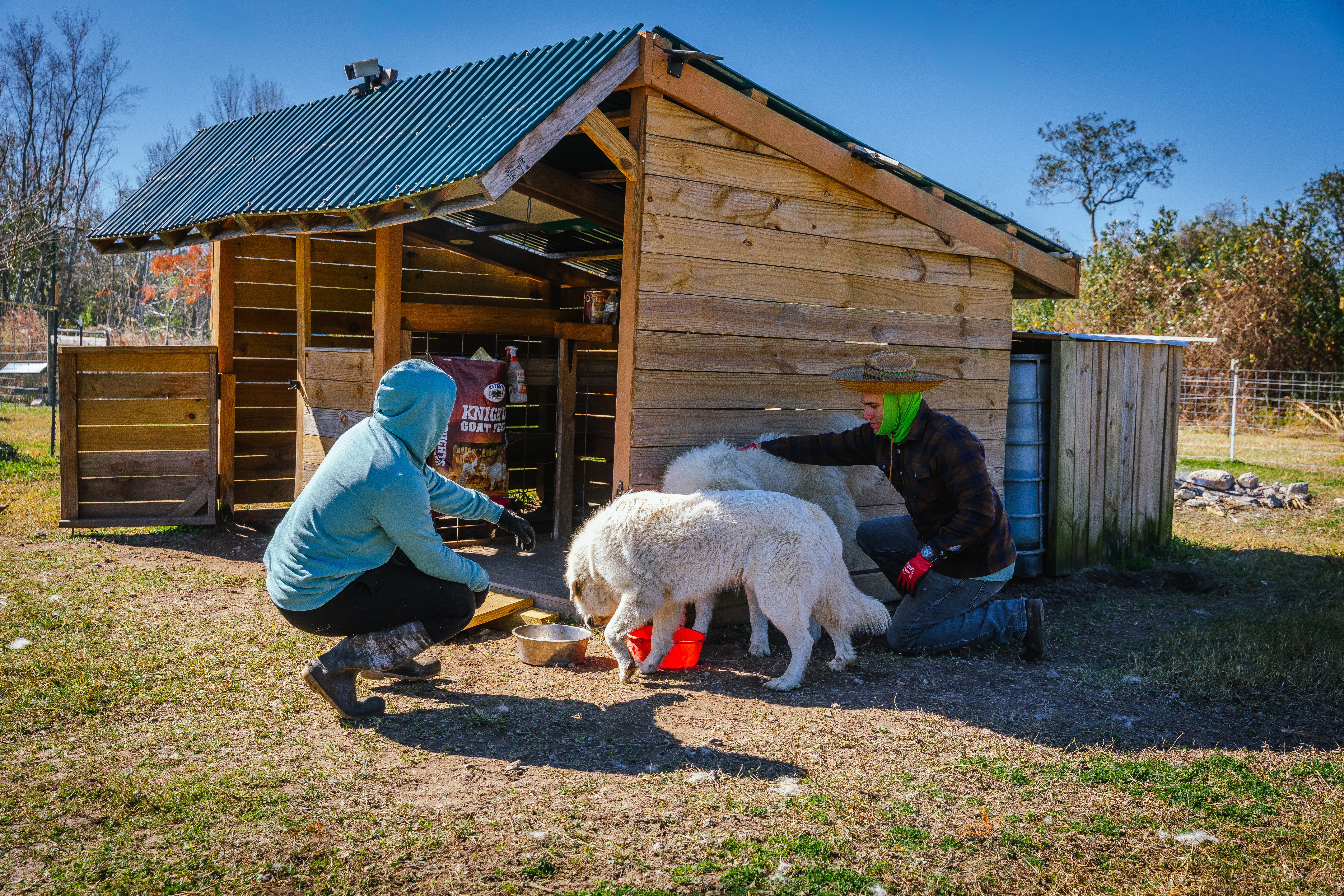 Animal Therapy Program
