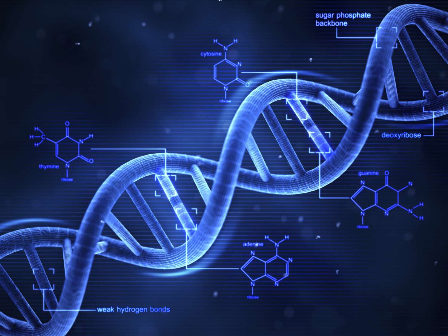 DNA Testing and Personalized Medicine